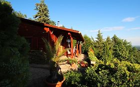 Hilltop Hideout